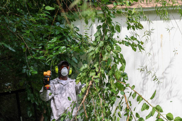 Best Tree Risk Assessment  in Bayonet Point, FL